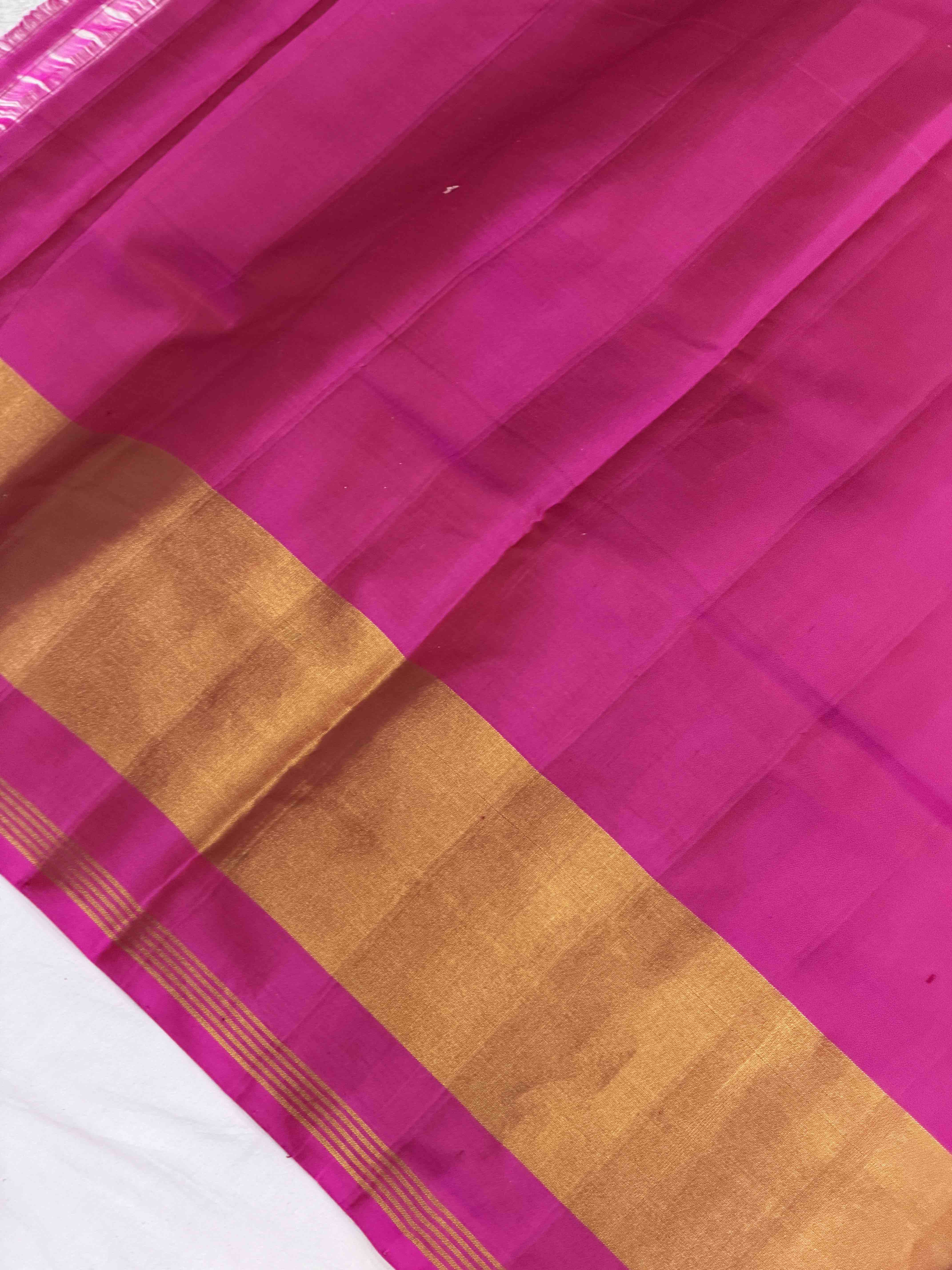 Pink tissue Border Plain Rajkoti Patola Saree