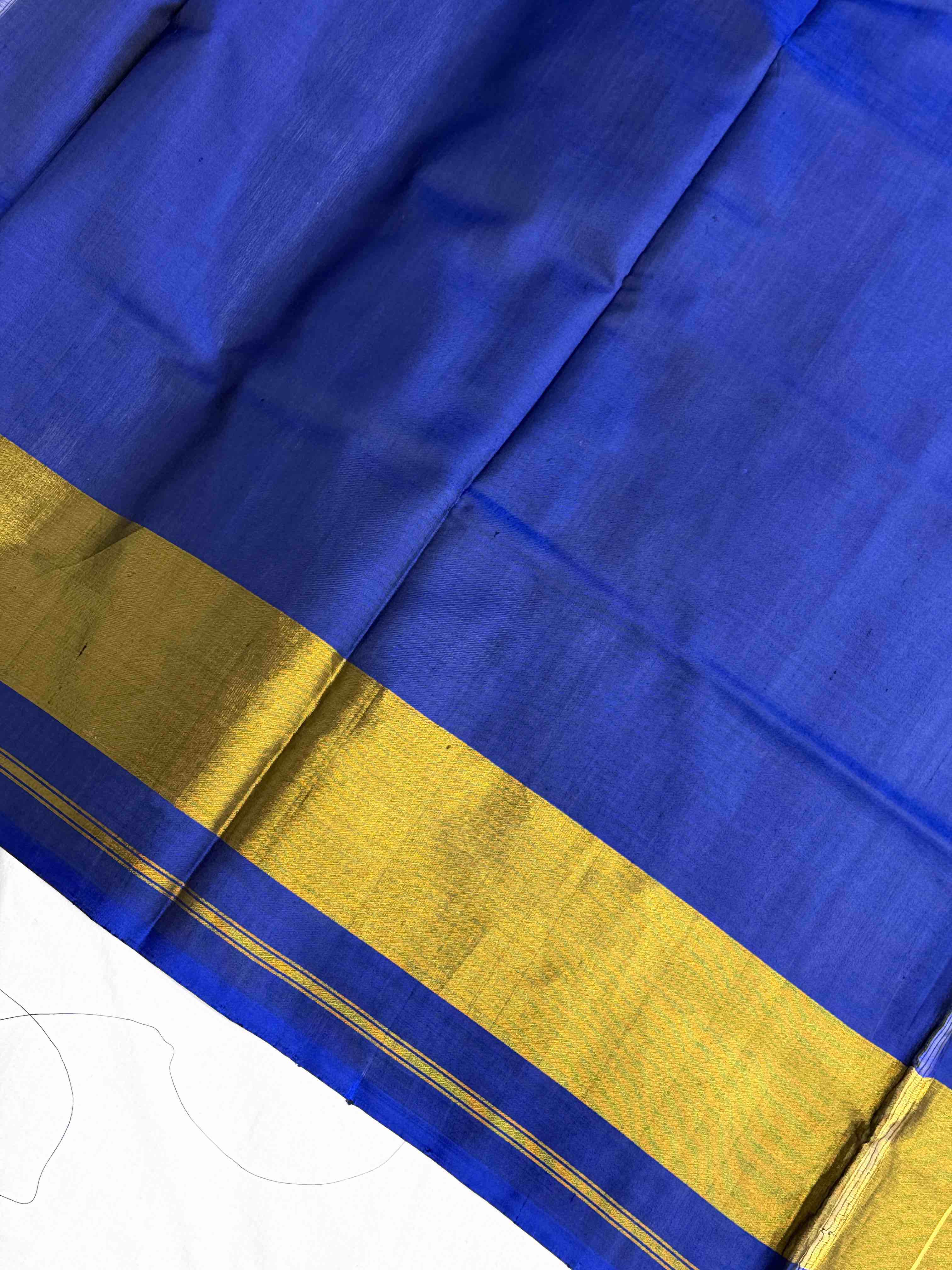 Blue tissue border manekchawk Rajkot Patola Saree