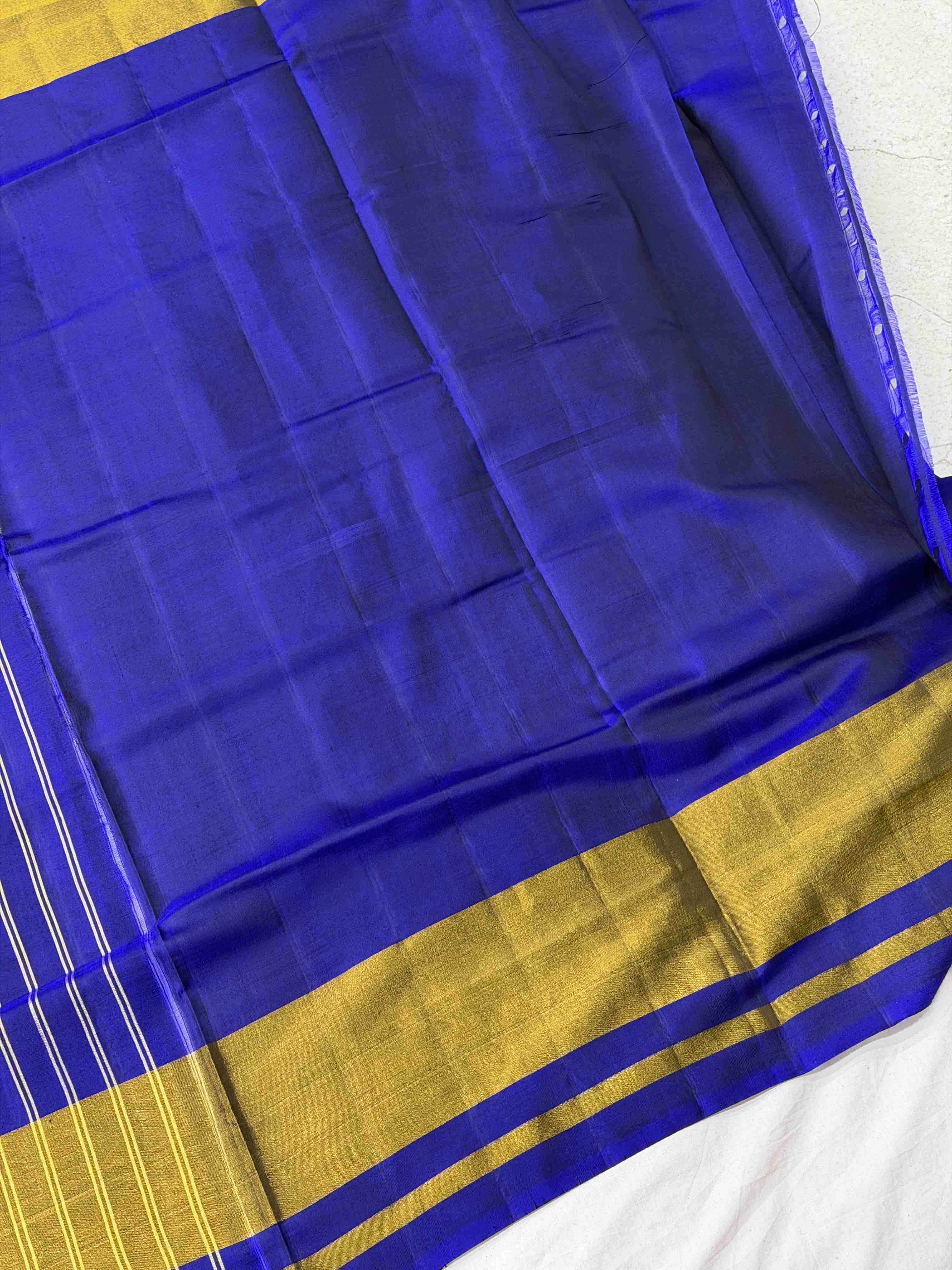Blue Navaratan Tissue border Patola saree