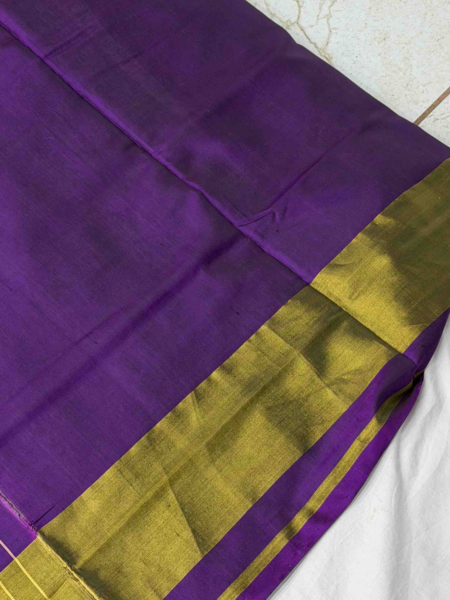 Purple manekchawk rajkot Patola Saree