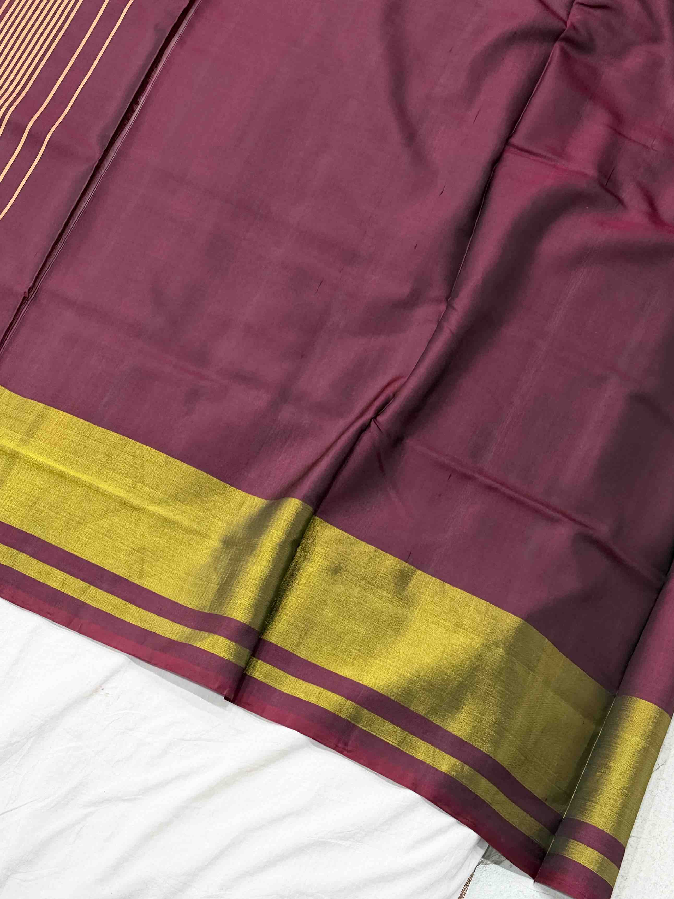 Wine & Gajari manekchawk Tissue border patola Saree
