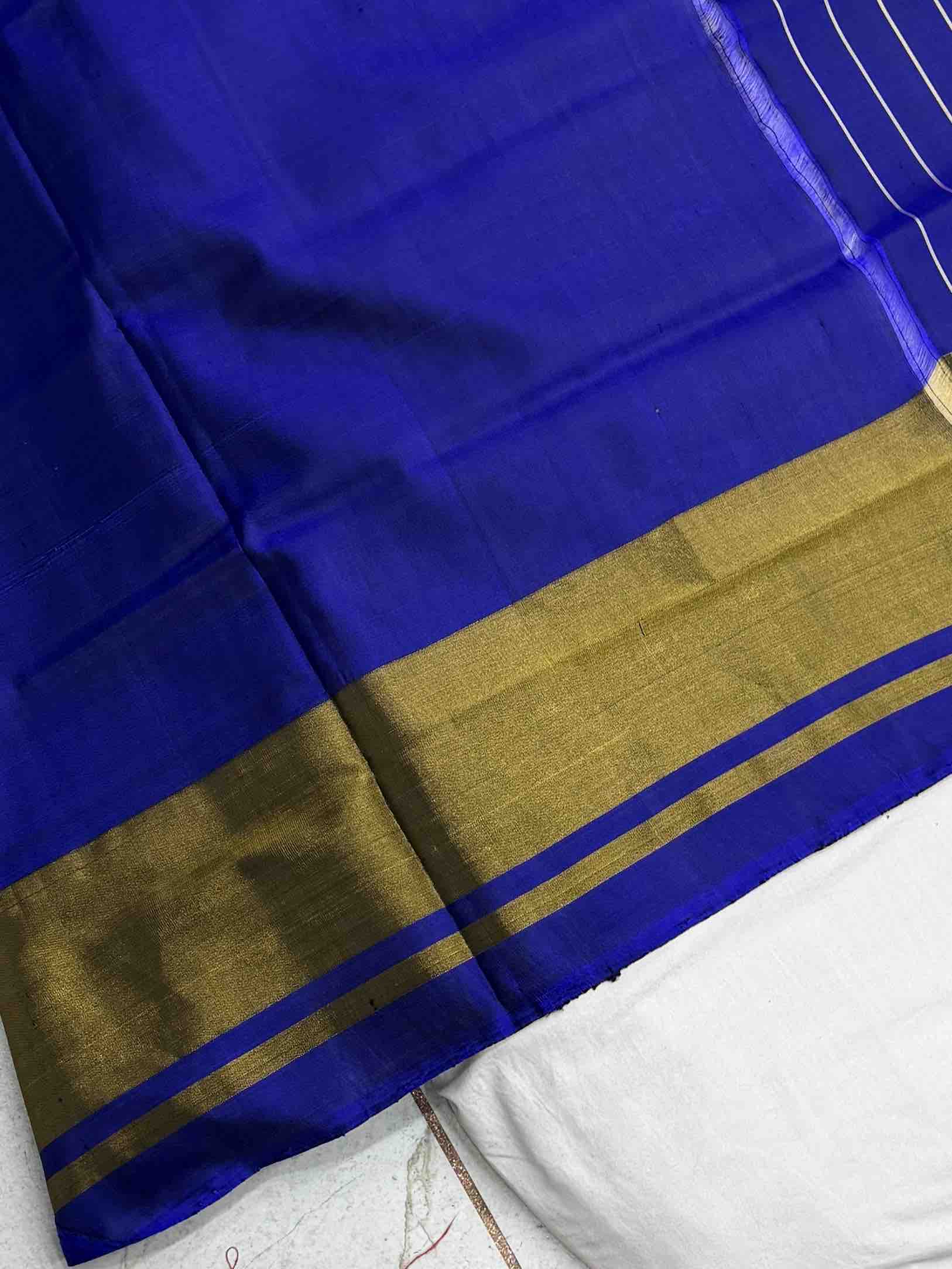 Blue Navaratan Narikunj Mix Tissue Border Patola Saree