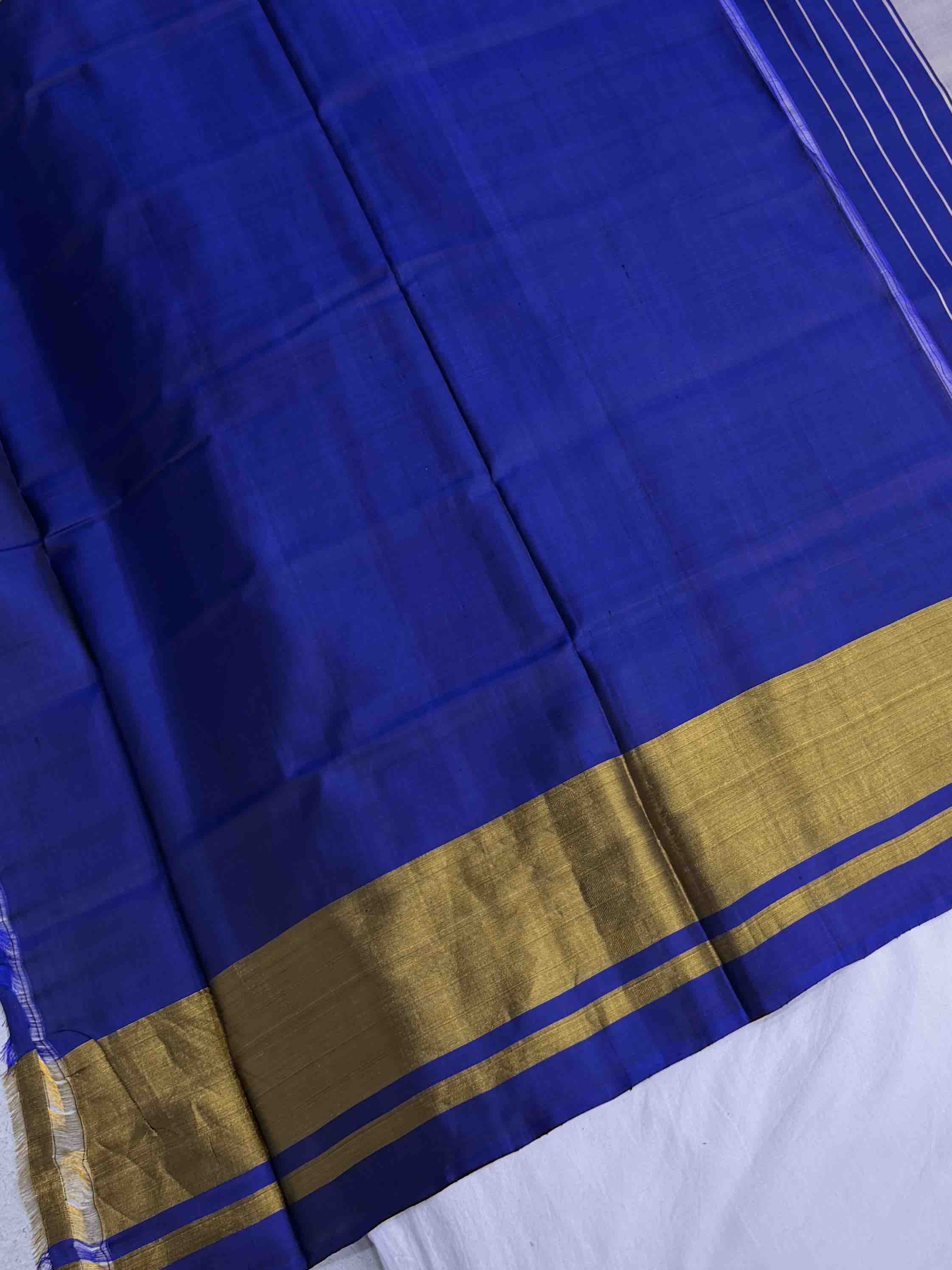 Blue Tissue Border Rajkot Patola Saree
