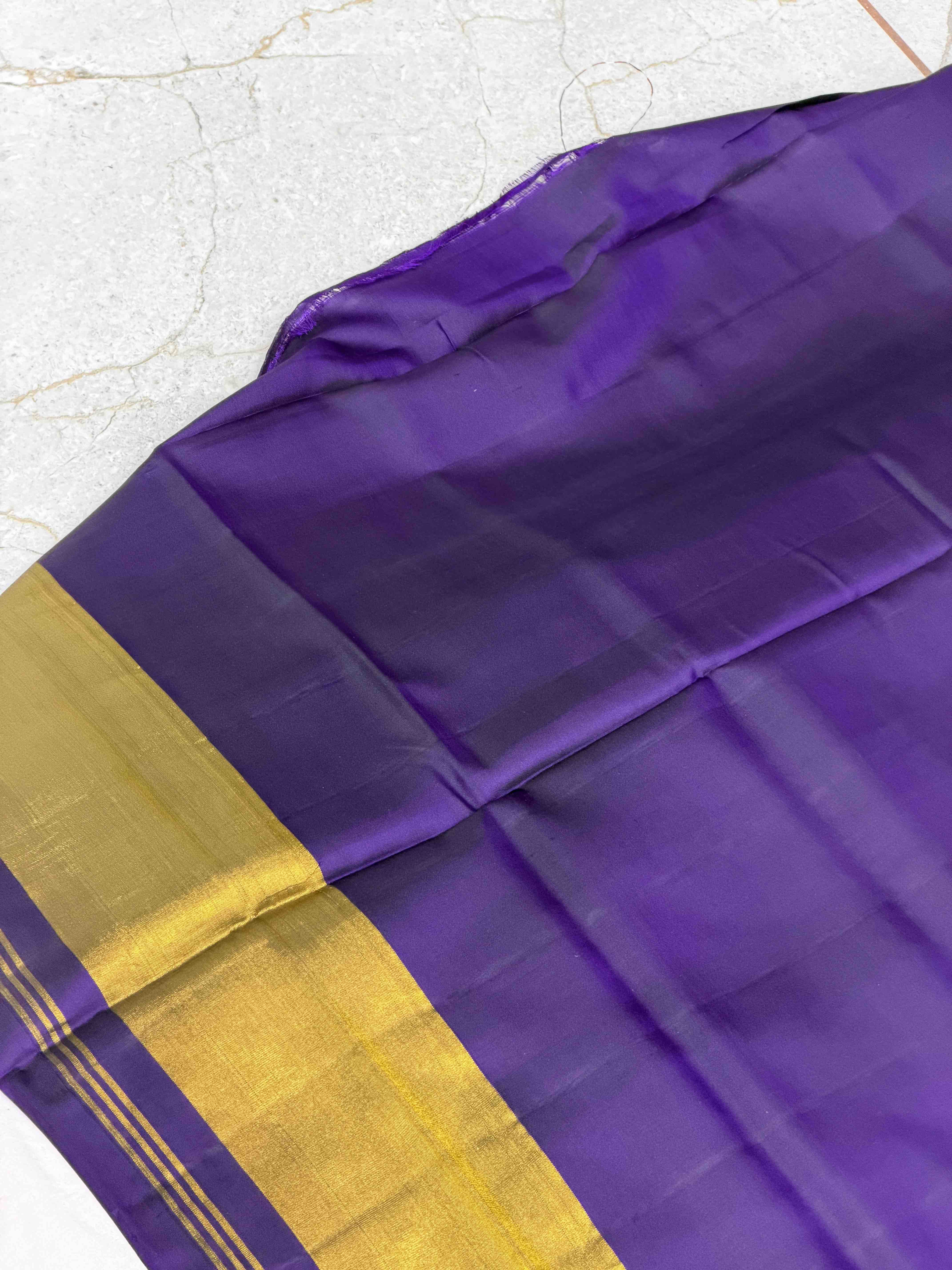 Purple Manekchawk Tissue border Patola Saree