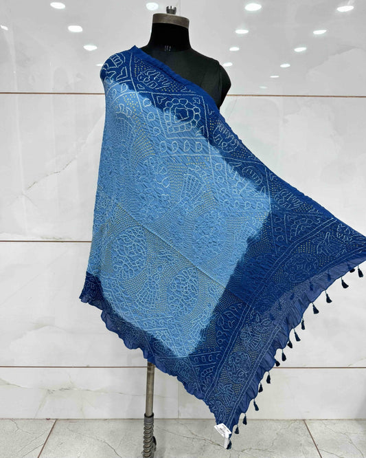 Rama Blue & Sky Blue Georgette Bandhani Dupatta - SindhoiPatolaArt