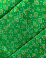 Green Navratan Patola Shawl