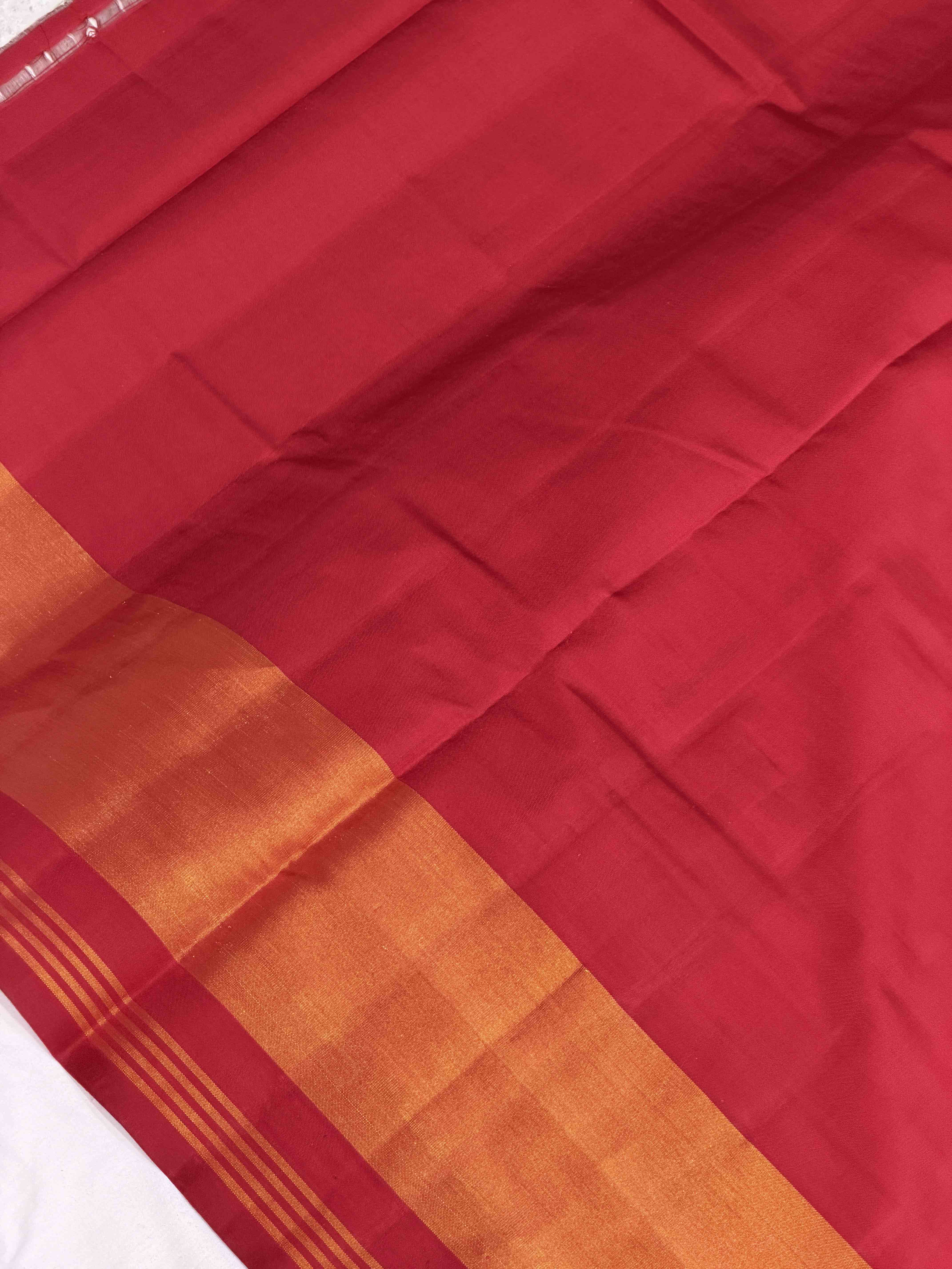 Red & Blue Parrot Design Rajkot Patola Saree