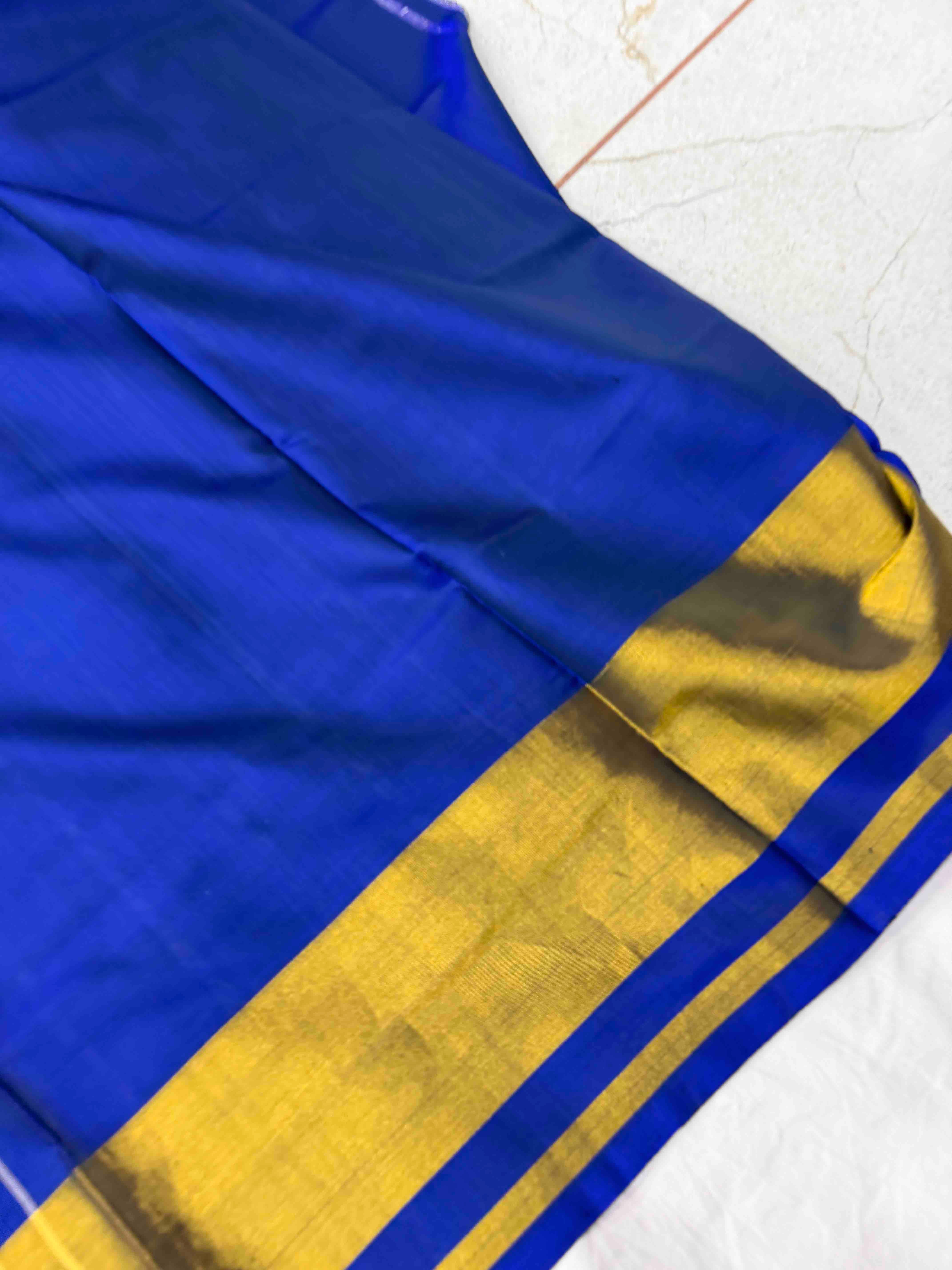 Blue Navaratan Tissue border Patola Saree
