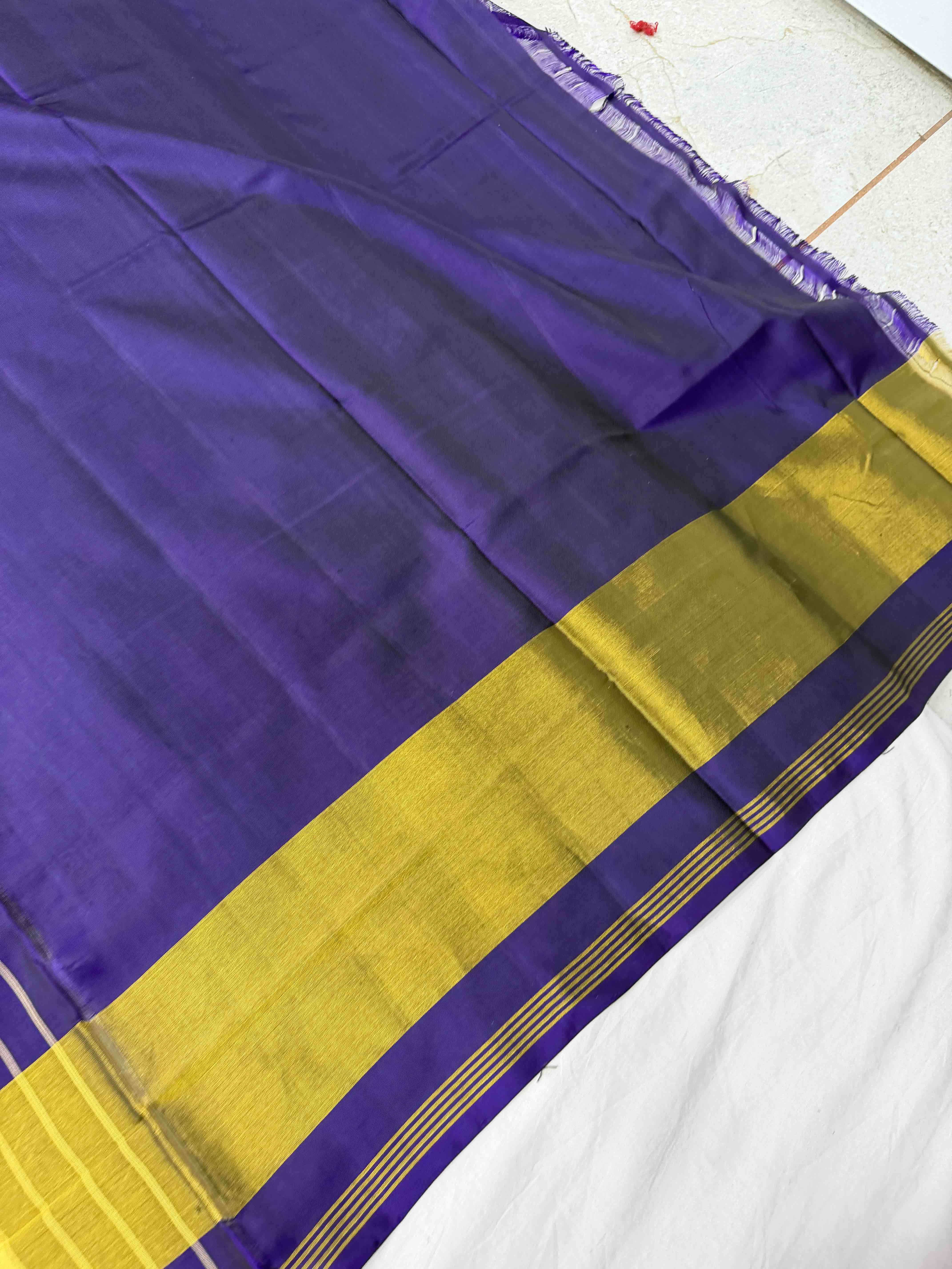 Purple Manekchawk tissue border rajkot Patola Saree