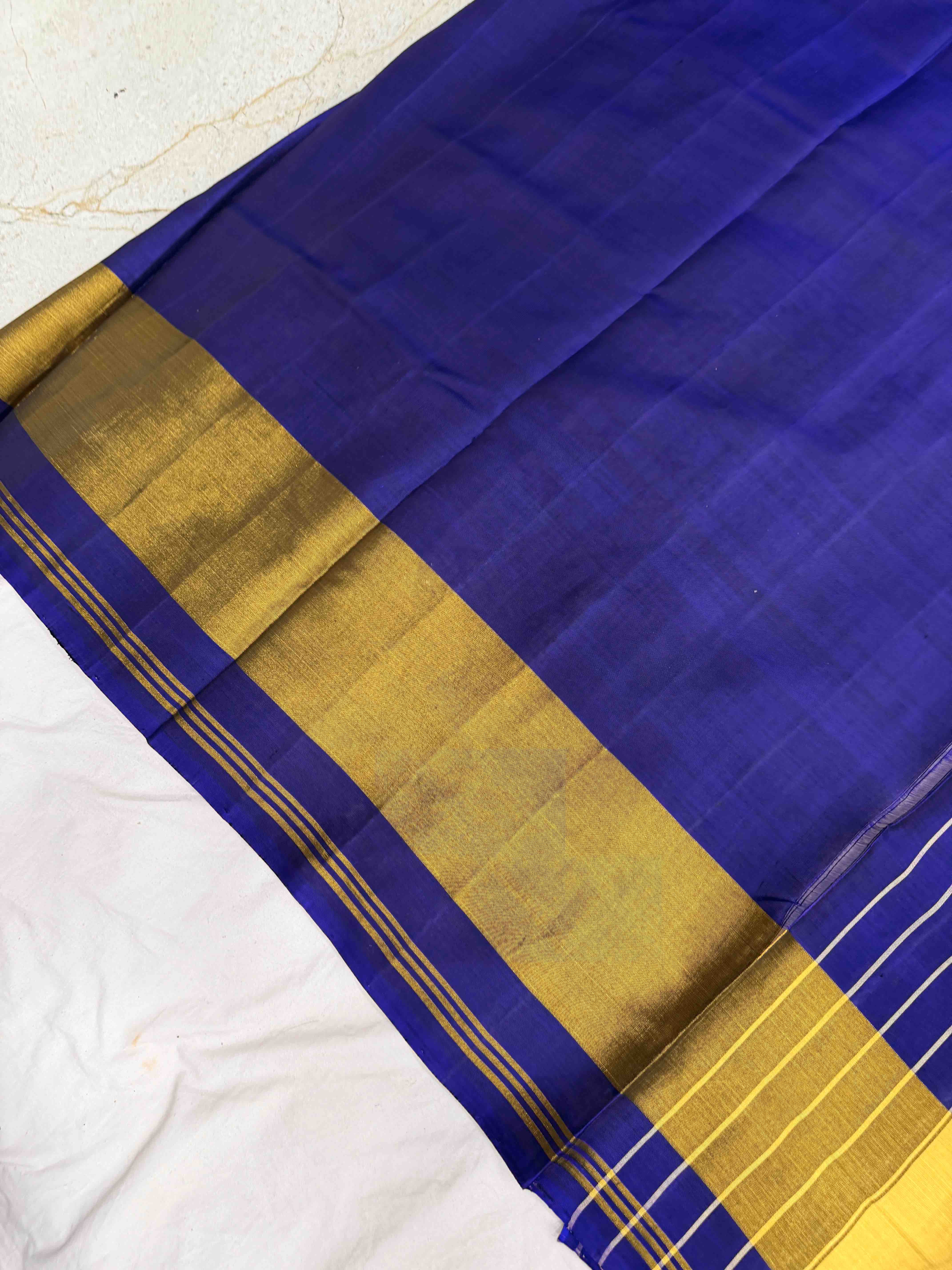 Blue Narikunj Rajkot Patola Saree