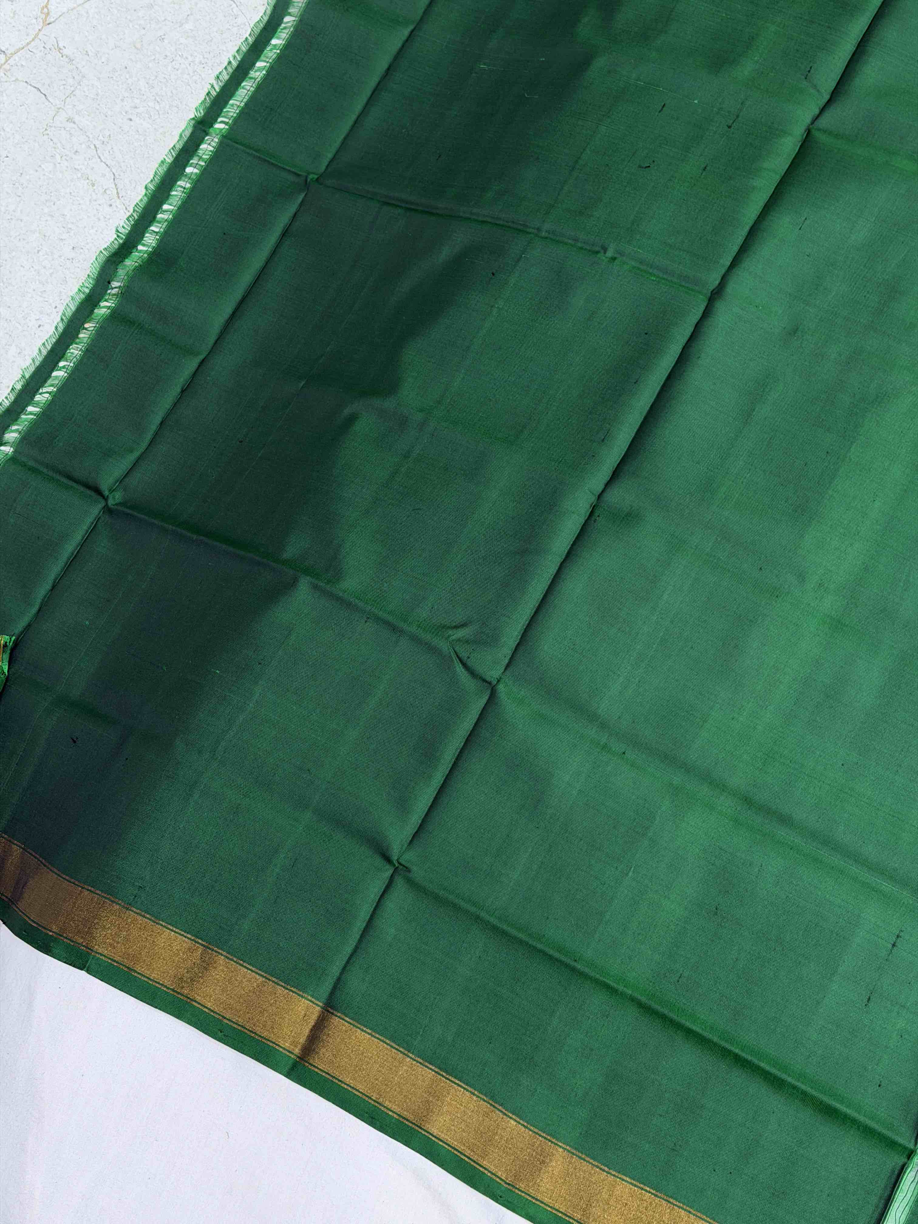 Green Narikunj Rajkoti Patola Saree