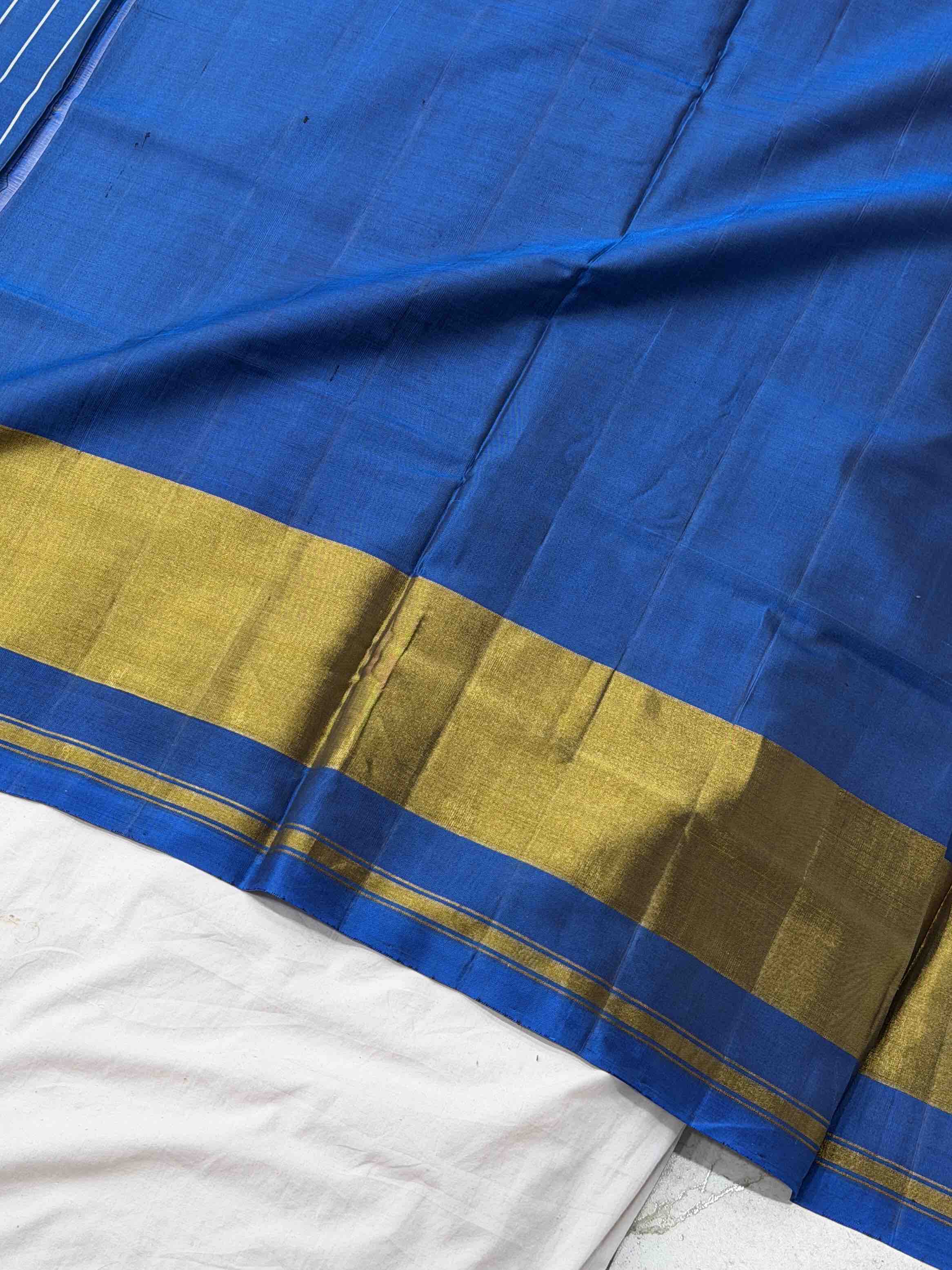 Shaded blue narikunj Hathi Tissue border rajkot Patola