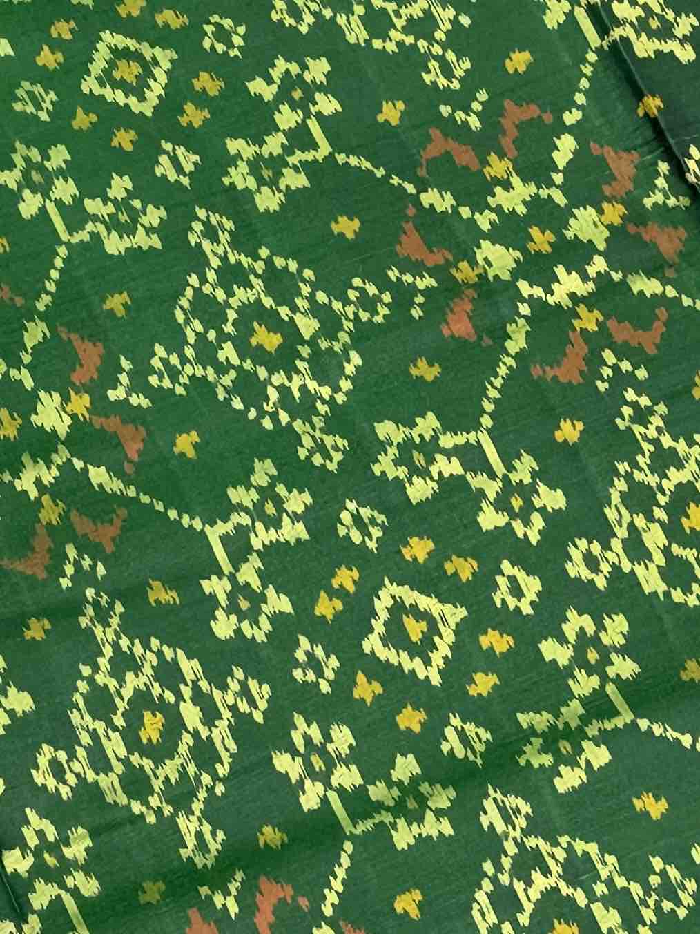 Green Tissue Border Rajkot Patola Saree