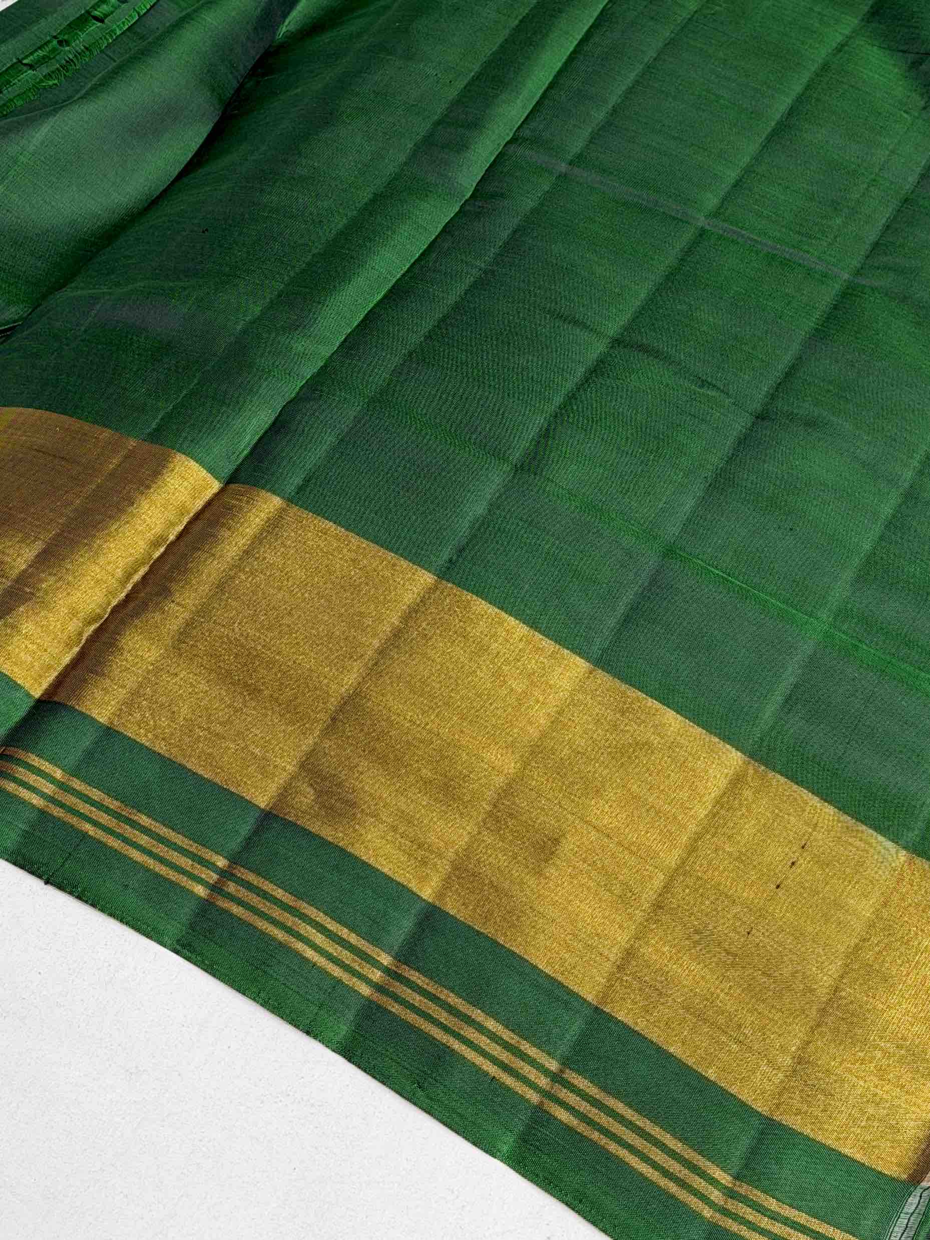 Green Tissue Border Rajkot Patola Saree