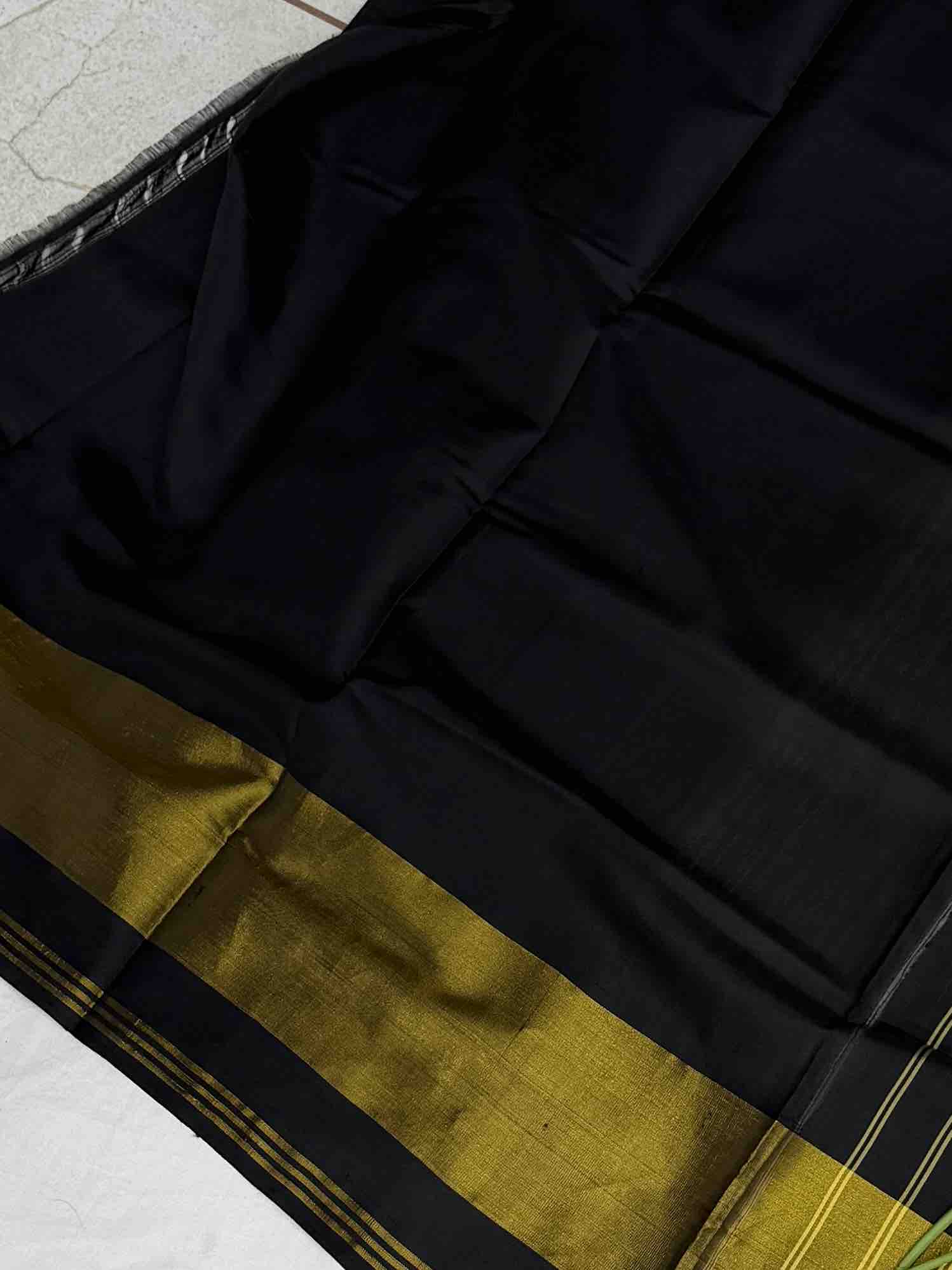 Boack Navaratan Hathi tissue border patola saree