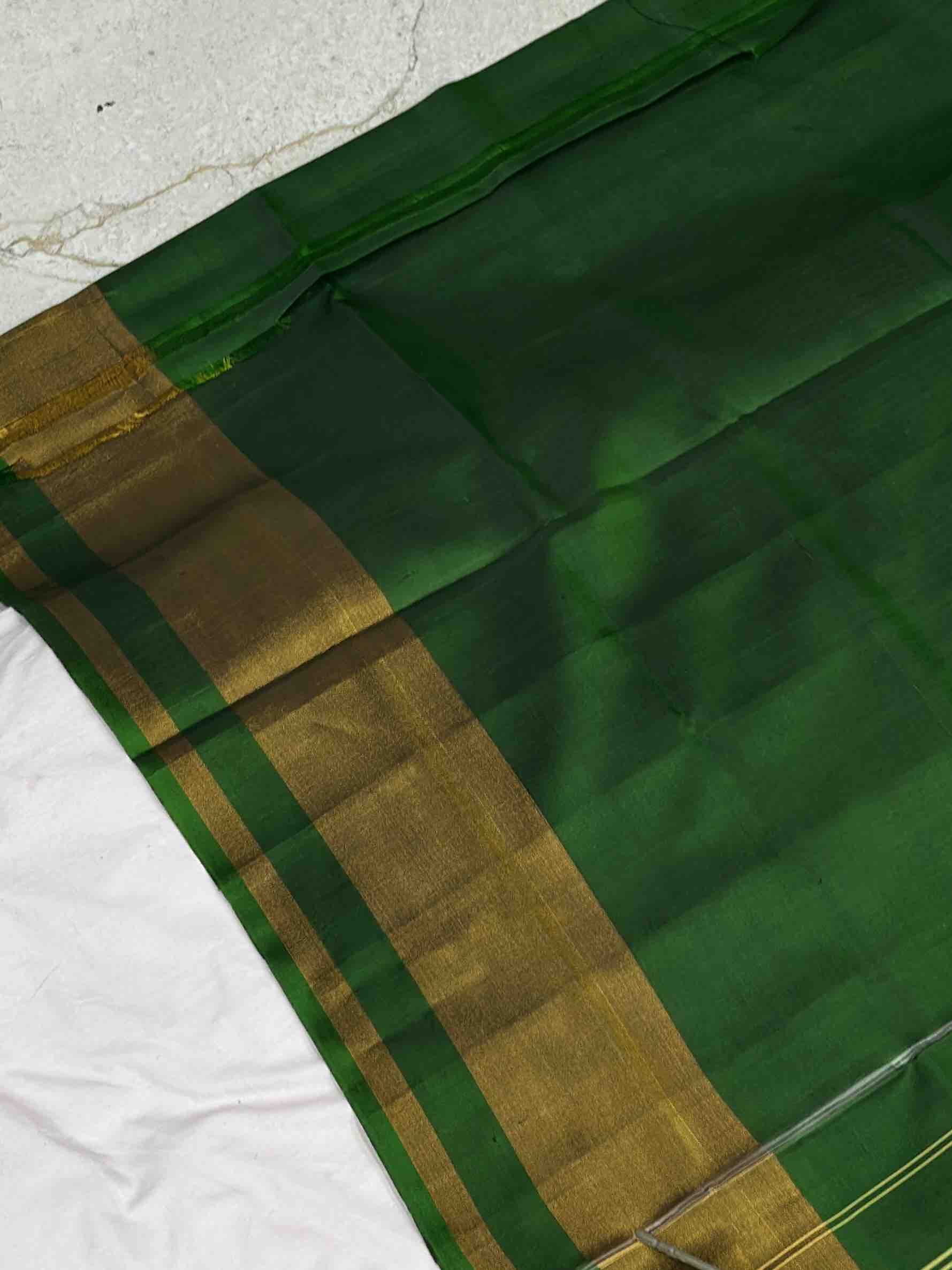 Ganga Jamuna Plain Gala border Patola saree