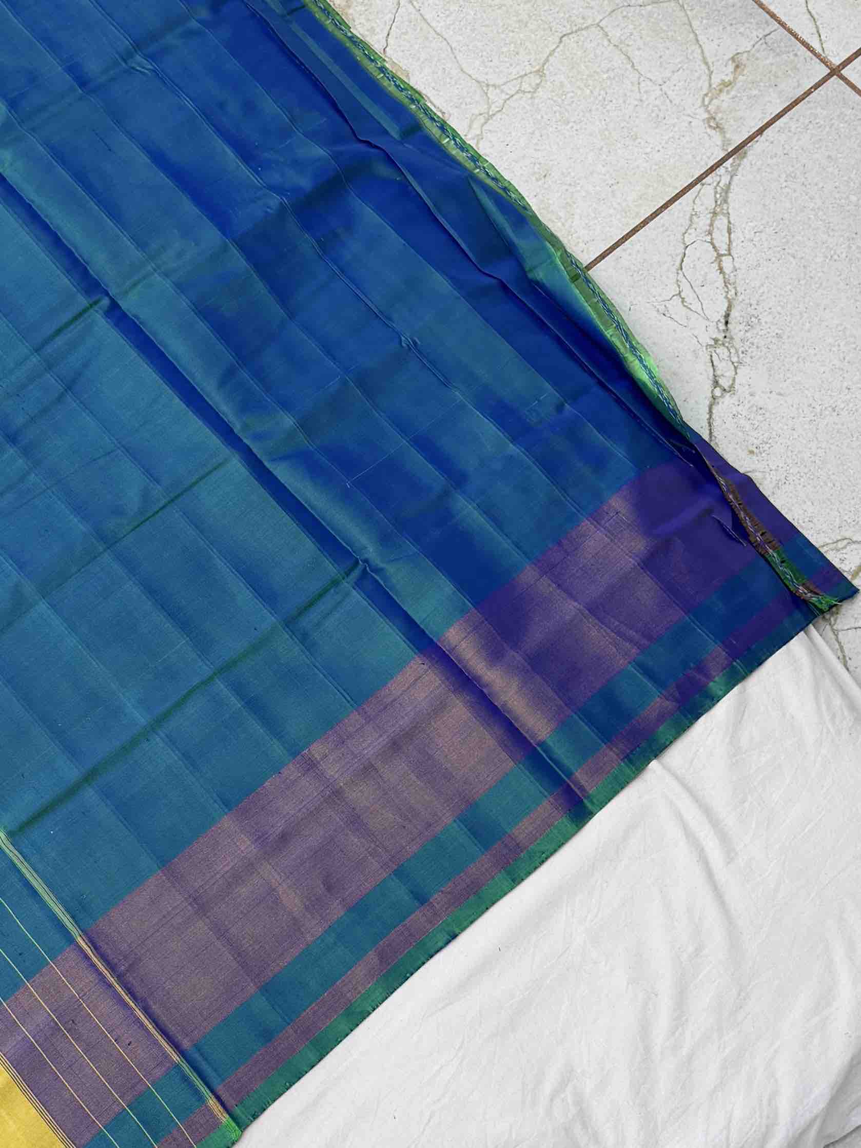 Green & Blue Dhupchau Rajkot Patola Saree