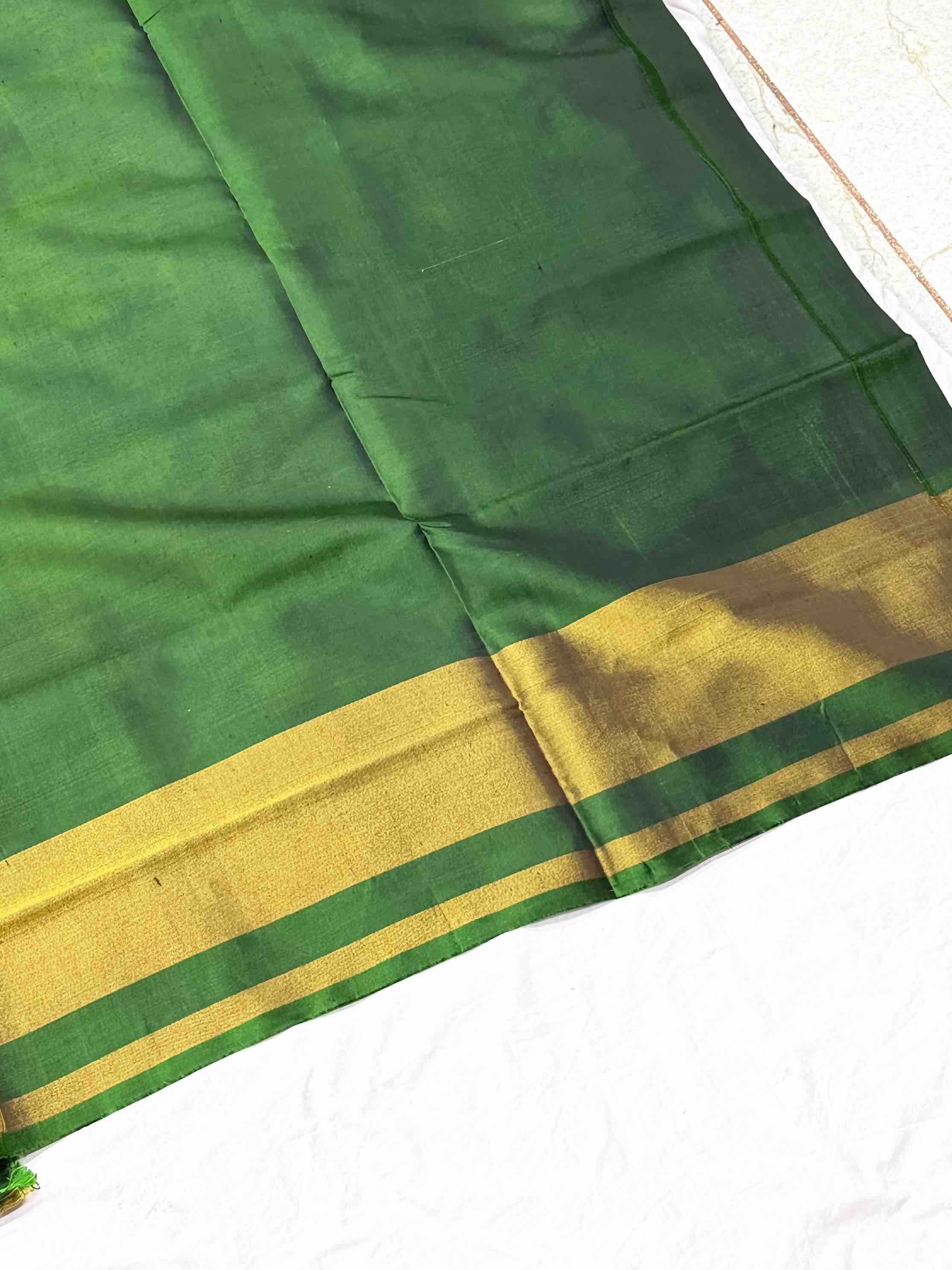 Green & Rust orange Gala border Patola Saree