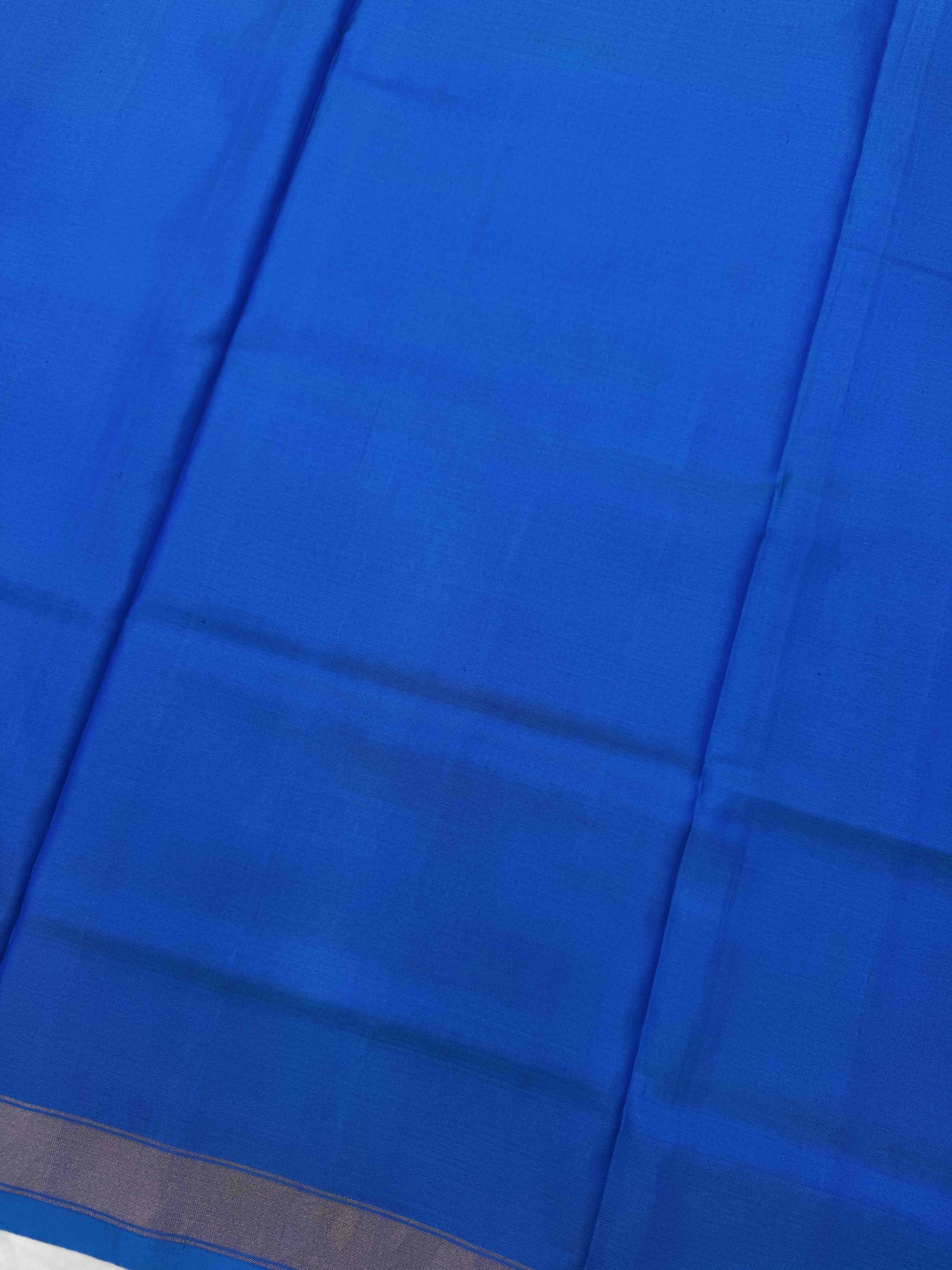 Sky Blue Panchanda with Boody Patola Dress