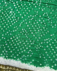 Blue & Sea Green Patola Bandhani Saree - SindhoiPatolaArt