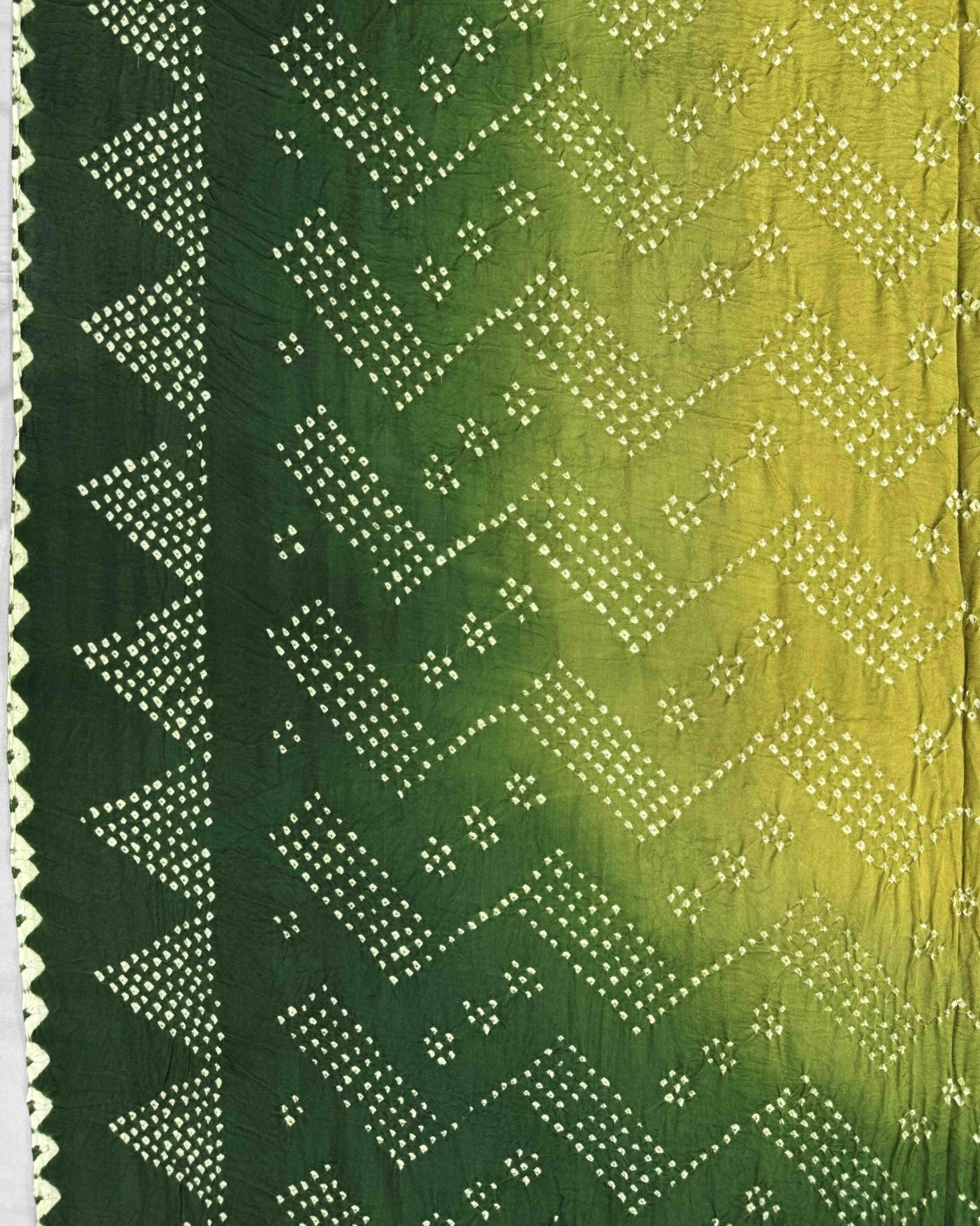 Green & Parrot Shaded Gajji Silk Pen Kamalkari Bandhani Saree - SindhoiPatolaArt