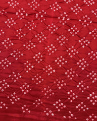 Green & Red Bandhani Patola Saree - SindhoiPatolaArt