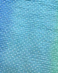 Light Green & Blue Shaded Munga Silk Bandhani Saree - SindhoiPatolaArt