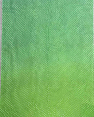 Light Green & Blue Shaded Munga Silk Bandhani Saree - SindhoiPatolaArt