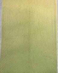 Light Green & Light Pink Shaded Munga Silk Bandhani Saree - SindhoiPatolaArt