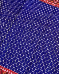 Red & Blue Jaali Design Patola Saree - SindhoiPatolaArt