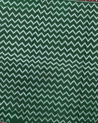 Red & Green Zig Zag Semi Double Ikat Patola Saree - SindhoiPatolaArt