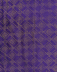 Red & Purple Bandhani Patola Dupatta - SindhoiPatolaArt