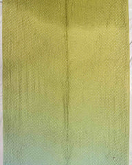 Sky Blue & Lemon Green Shaded Munga Silk Bandhani Saree - SindhoiPatolaArt
