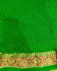 Green Parrot  Bandhani Saree